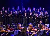 Koncert Novomeškega simfoničnega orkestra, ŠD Marof Novo mesto, 7. februar 2018